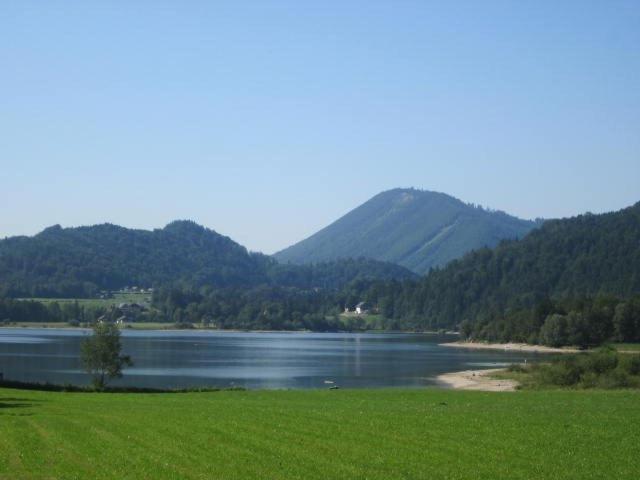 Appartement Bergblick I Faistenau Room photo